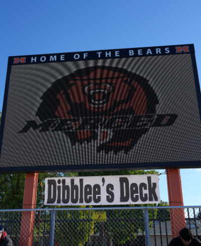 diblees-deck-image